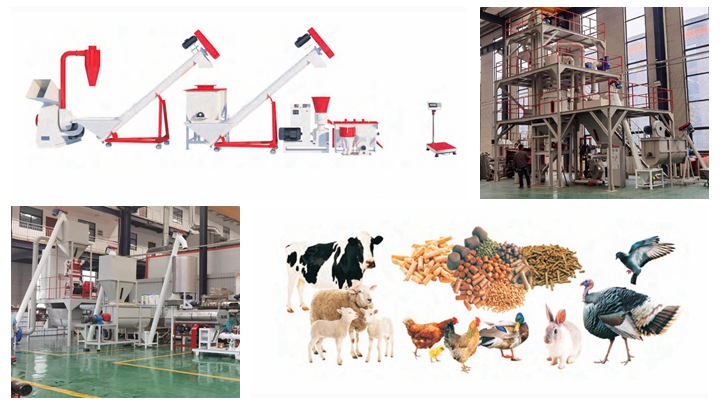 <h3>Livestock Feed Production Line Chicken Cattle Livestock …</h3>
